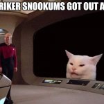 Rikers Pet Escapes | TELL RIKER SNOOKUMS GOT OUT AGAIN | image tagged in picard confused about cat,riker,snookums | made w/ Imgflip meme maker