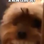 Happy dog | WHEN U GET A NEW LEGO SET | image tagged in happy dog | made w/ Imgflip meme maker