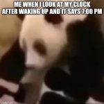 Ladies and gentlemen, panda :) | ME WHEN I LOOK AT MY CLOCK AFTER WAKING UP AND IT SAYS 7:00 PM | image tagged in panda,late | made w/ Imgflip meme maker