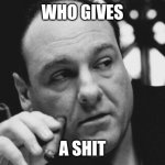 Tony Soprano Admin Gangster | WHO GIVES; A SHIT | image tagged in tony soprano admin gangster | made w/ Imgflip meme maker