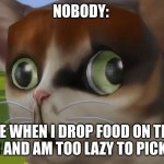 floor food | NOBODY:; ME WHEN I DROP FOOD ON THE FLOOR AND AM TOO LAZY TO PICK IT UP. | image tagged in spleens the cat | made w/ Imgflip meme maker