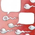 2 sperm talking