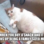 Chubby | WHEN YOU BUY A SNACK AND IT TURNS UP BEING A FAMILY SIZED MEAL | image tagged in fat cat crying | made w/ Imgflip meme maker