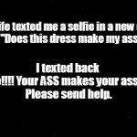 Not so smart | My wife texted me a selfie in a new dress and asked "Does this dress make my ass look big?"; I texted back 
"Noooooo!!!! Your ASS makes your ass look big"


Please send help. | image tagged in honesty,wife problems | made w/ Imgflip meme maker