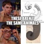 is this NSFW | THESE AREN'T THE SAME ANIMALS | image tagged in glasses on and off | made w/ Imgflip meme maker