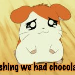 sad hamtaro wants chocolate