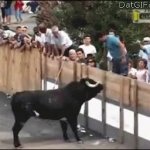 Bull vs man GIF Template