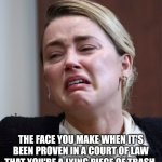 Yes!  Justice prevails! | THE FACE YOU MAKE WHEN IT'S BEEN PROVEN IN A COURT OF LAW THAT YOU'RE A LYING PIECE OF TRASH. | image tagged in turd | made w/ Imgflip meme maker