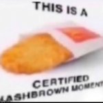 certified hashbrown moment meme