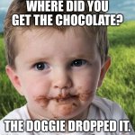 Doggo poop | WHERE DID YOU GET THE CHOCOLATE? THE DOGGIE DROPPED IT. | image tagged in doggo poop | made w/ Imgflip meme maker