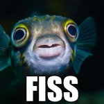 FISS | FISS | image tagged in fiss | made w/ Imgflip meme maker