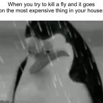 big zad | When you try to kill a fly and it goes on the most expensive thing in your house: | image tagged in sadge,funny,memes,fly,noooooooooooooooooooooooo,why | made w/ Imgflip meme maker