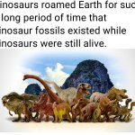 Dinosaur fossils