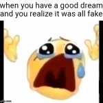 pain :( | when you have a good dream and you realize it was all fake | image tagged in cursed crying emoji,memes,true story,funny,cry about it,bye chat | made w/ Imgflip meme maker