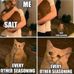 why is this me | ME SALT EVERY OTHER SEASONING EVERY OTHER SEASONING EVERY OTHER SEASONING | image tagged in sad cat holding dog | made w/ Imgflip meme maker