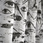 Trees with eyes