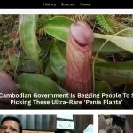 penis plant :D