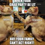 My Family be Crazy, grad party cat fight | WHEN YOUR GRAD PARTY BE LIT; BUT YOUR FAMILY CAN'T ACT RIGHT! | image tagged in graduation party - cat fight | made w/ Imgflip meme maker