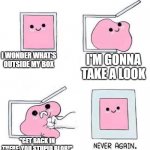 Pink Blob opens its box | I WONDER WHAT'S OUTSIDE MY BOX I'M GONNA TAKE A LOOK "GET BACK IN THERE, YOU STUPID BLOB!" | image tagged in never again | made w/ Imgflip meme maker