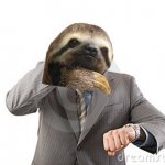 Sloth in a hurry