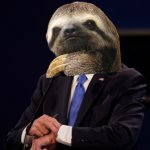 Sloth Joe Biden watch meme