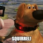 Squirrel | SQUIRREL! | image tagged in up squirrel dog | made w/ Imgflip meme maker