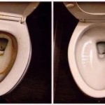 Toilet comparison