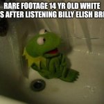 Depressed Kermit | RARE FOOTAGE 14 YR OLD WHITE GIRLS AFTER LISTENING BILLY ELISH BREATH | image tagged in depressed kermit | made w/ Imgflip meme maker