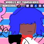 TRANS LIFE | NOODLES NOT TRANSGENDER NOODLES TRANSEXUAL 🦽✡☪🕎🔯♿🔯🕎🧕🦼☪♠ | image tagged in xeno kallum | made w/ Imgflip meme maker