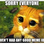 Sorry Kitty | SORRY EVERYONE; I HAVEN'T HAD ANY GOOD MEME IDEAS | image tagged in sorry kitty | made w/ Imgflip meme maker