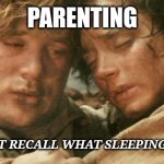 frodo and sam after destroying the ring | PARENTING; "NO, SAM, I CAN'T RECALL WHAT SLEEPING IN FEELS LIKE." | image tagged in frodo and sam after destroying the ring | made w/ Imgflip meme maker