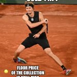Sold 1 NFT | SOLD 1 NFT; FLOOR PRICE OF THE COLLECTION IS STILL ZERO | image tagged in ankle issue zverev bending foot,but | made w/ Imgflip meme maker