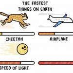 The fastest things on earth: cheetah, airplane, speed of light,