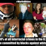 Interracial violence in USA / nationalvanguard.org / renegadetri