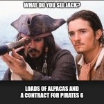 pirates of the caribbean | WHAT DO YOU SEE JACK? LOADS OF ALPACAS AND A CONTRACT FOR PIRATES 6 | image tagged in pirates of the caribbean | made w/ Imgflip meme maker