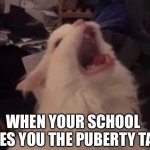 This happened recently | WHEN YOUR SCHOOL GIVES YOU THE PUBERTY TALK | image tagged in screamin cat | made w/ Imgflip meme maker