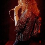 Robert Plant