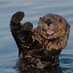 Otter victory
