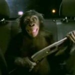 Trunk Monkey with gun meme template | image tagged in trunk monkey with gun | made w/ Imgflip meme maker