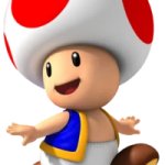 Toad Mario toadstool