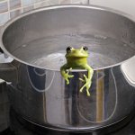 Frog in pot boiling water meme