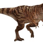Tyrannosaurus Rex Gen 2 (JWA)