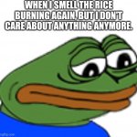 Sadge | WHEN I SMELL THE RICE BURNING AGAIN, BUT I DON'T CARE ABOUT ANYTHING ANYMORE. | image tagged in sadge | made w/ Imgflip meme maker