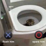 X Flush Him, O Spare Him
