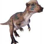 Pachycephalosaurus (TLW Design)