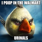 Realistic Angry Bird (Mathilda) | I POOP IN THE WALMART; URINALS | image tagged in realistic angry bird mathilda | made w/ Imgflip meme maker