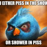 Realistic Blue Angry Bird | YOU EITHER PISS IN THE SHOWER; OR SHOWER IN PISS | image tagged in realistic blue angry bird | made w/ Imgflip meme maker