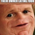 SOSIG | DOGS WHEN THEY SEE THEIR OWNER EATING FOOD | image tagged in sosig | made w/ Imgflip meme maker