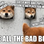 dogecetraz | I GOT A WIFE AND PUPS! PRISON IS NO PLACE FOR ME! I’LL NEVER EAT YOUR SHOES AGAIN! I SWEAR! LET ME OUTTA HERE! THE CAT FRAMED ME! WHERE ALL THE BAD BOYS GO | image tagged in the doge council,doge,prison | made w/ Imgflip meme maker