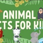 Amazing Animal Facts for Kids!